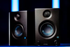 Quick Tips About Sayona Woofer Usage